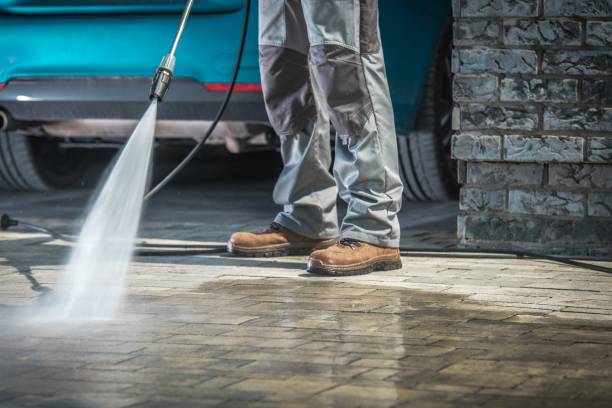 Best Gutter Cleaning  in West Point, MS