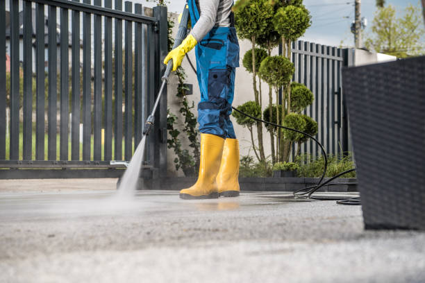 Best Driveway Pressure Washing  in West Point, MS